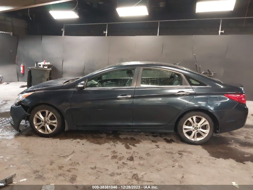 2013 HYUNDAI SONATA LIMITED - 5NPEC4AC6DH504347