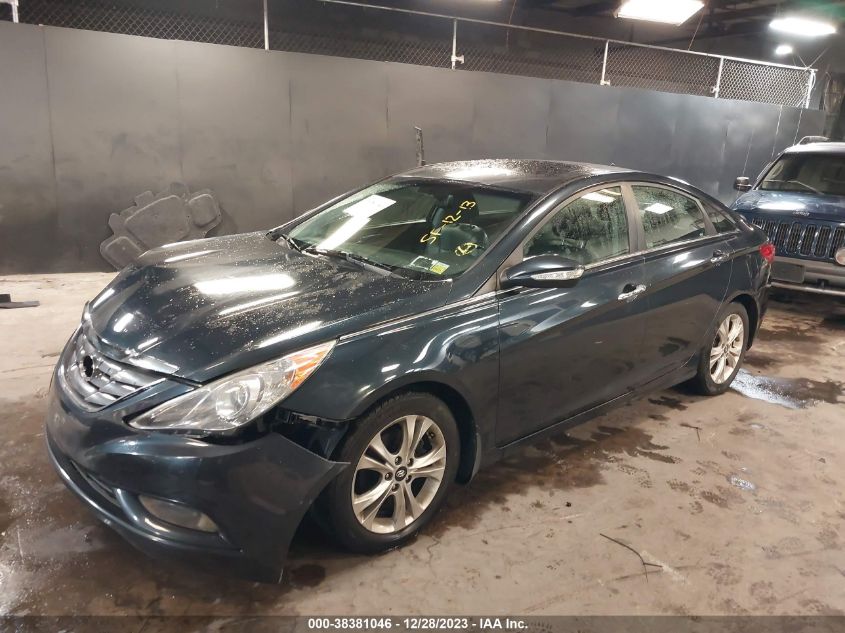 2013 HYUNDAI SONATA LIMITED - 5NPEC4AC6DH504347
