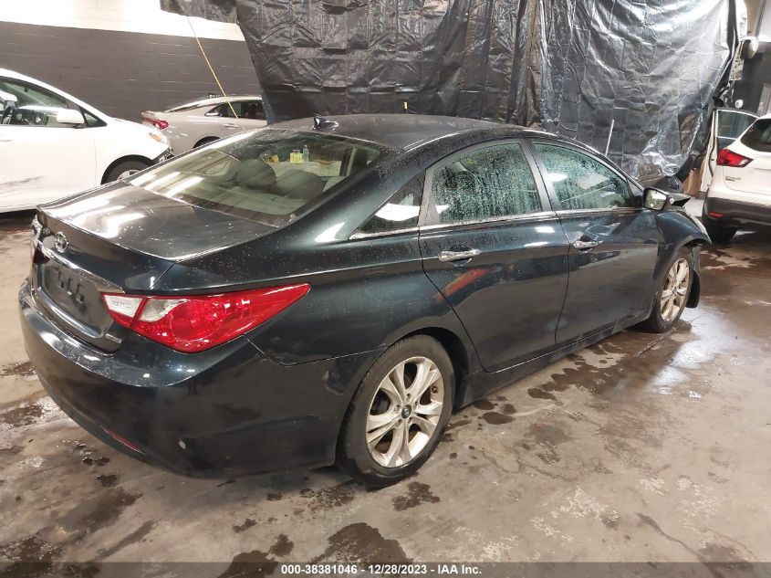 2013 HYUNDAI SONATA LIMITED - 5NPEC4AC6DH504347