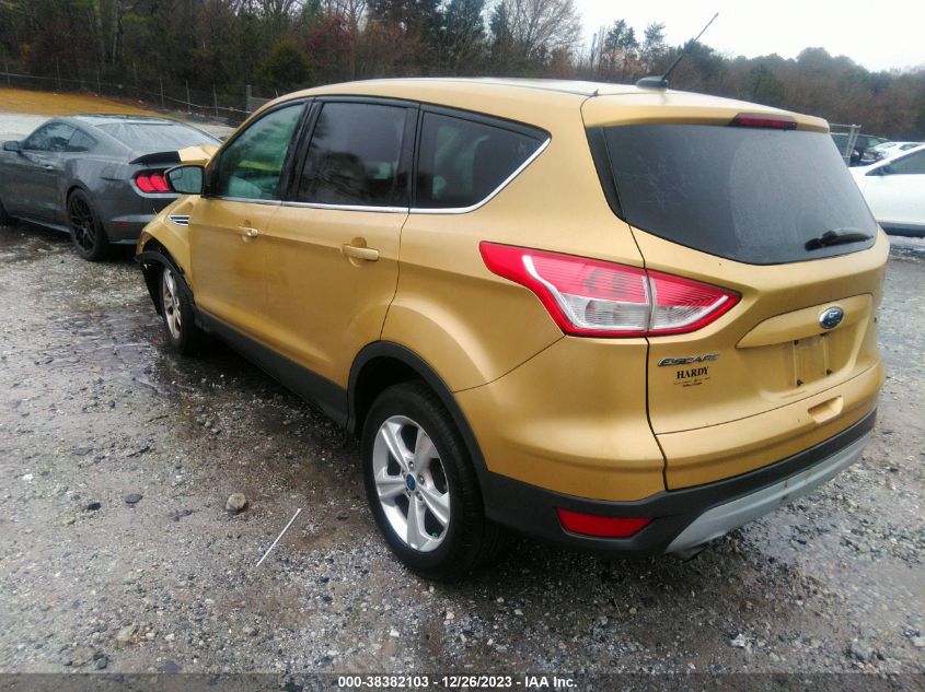 2014 FORD ESCAPE SE - 1FMCU0GXXEUC19886