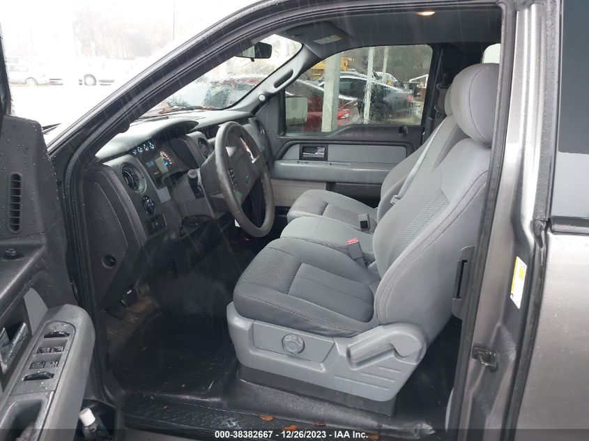 2013 FORD F-150 FX2/LARIAT/STX/XL/XLT - 1FTFX1CFCDFD95419