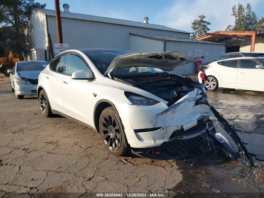 2023 TESLA MODEL Y - 7SAYGAEE2PF742732