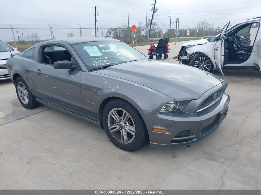 2013 FORD MUSTANG V6 - 1ZVBP8AM1D5252673