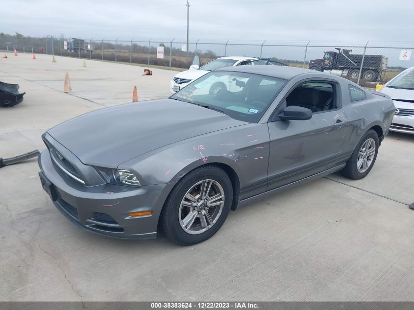 2013 FORD MUSTANG V6 - 1ZVBP8AM1D5252673