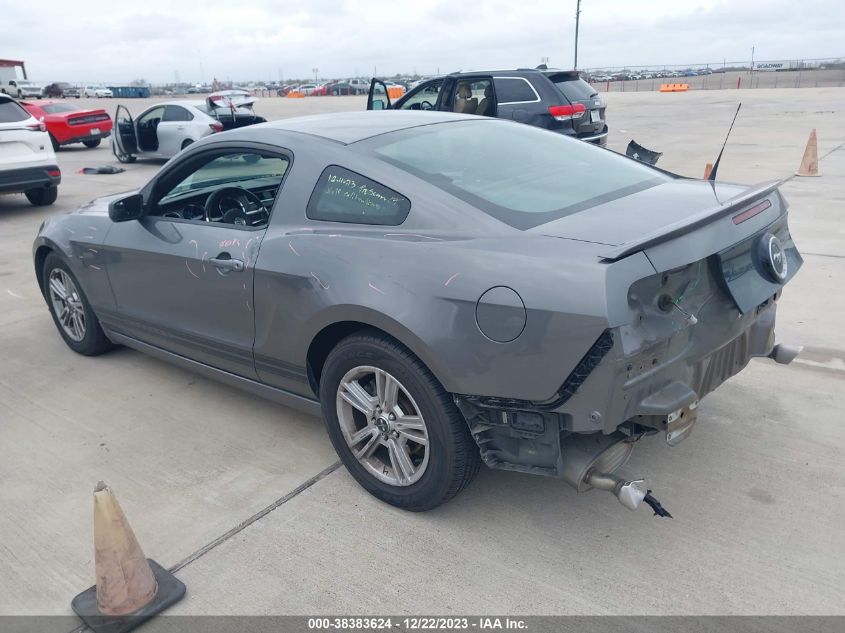 2013 FORD MUSTANG V6 - 1ZVBP8AM1D5252673