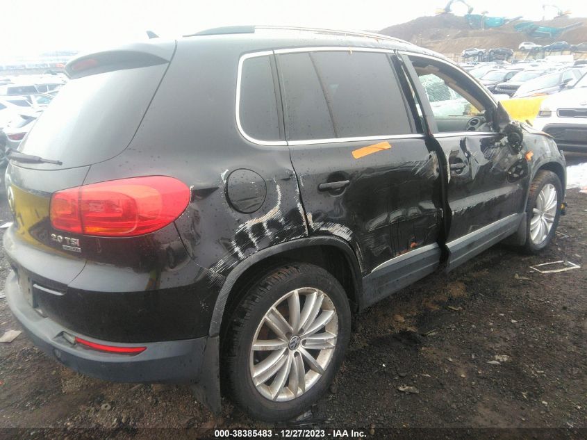 2013 VOLKSWAGEN TIGUAN S/SE/SEL - WVGBV3AXXDW598796