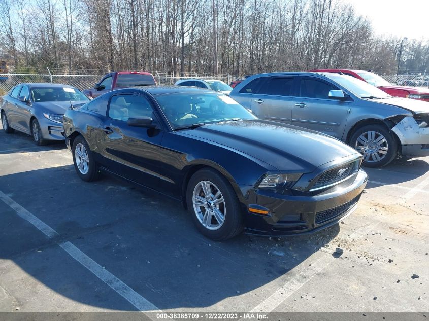 2013 FORD MUSTANG V6 - 1ZVBP8AM3D5273640