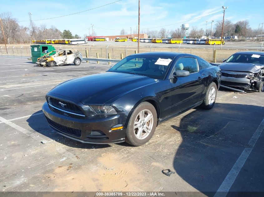 2013 FORD MUSTANG V6 - 1ZVBP8AM3D5273640