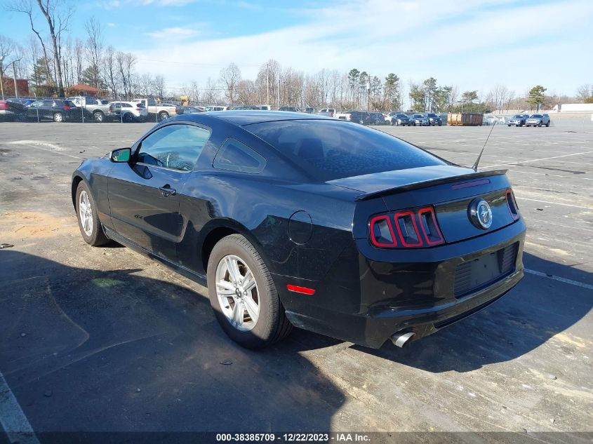 2013 FORD MUSTANG V6 - 1ZVBP8AM3D5273640