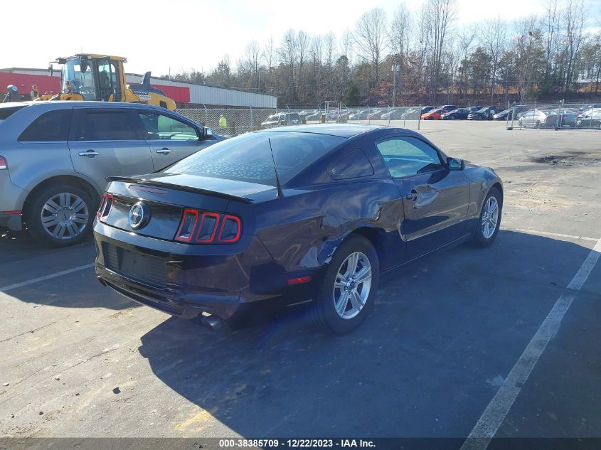 2013 FORD MUSTANG V6 - 1ZVBP8AM3D5273640