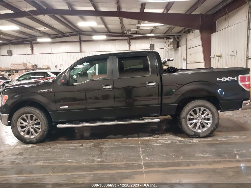 2013 FORD F-150 XLT - 1FTFW1ET2DKF18171