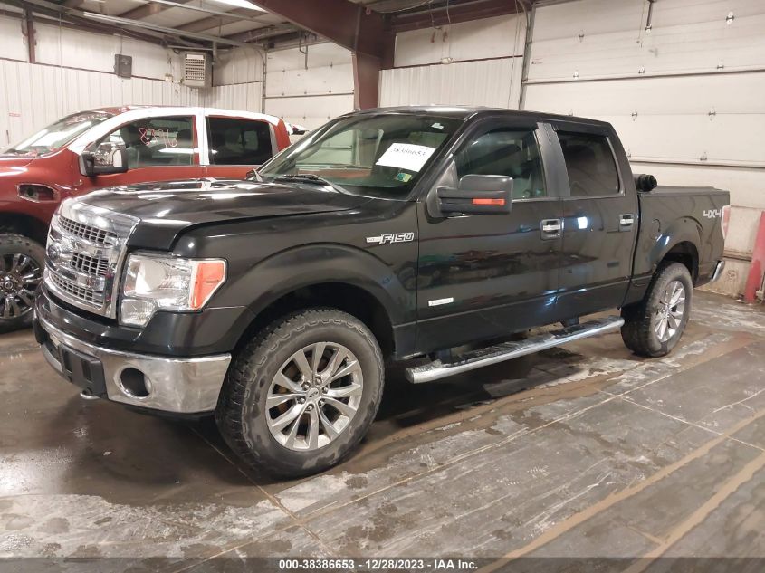 2013 FORD F-150 XLT - 1FTFW1ET2DKF18171