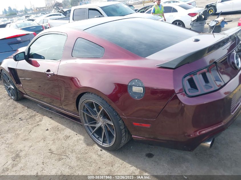 2013 FORD MUSTANG GT - 1ZVBP8CF4D5269594