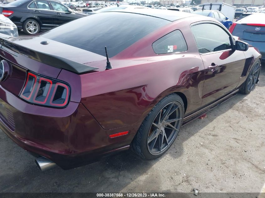 2013 FORD MUSTANG GT - 1ZVBP8CF4D5269594