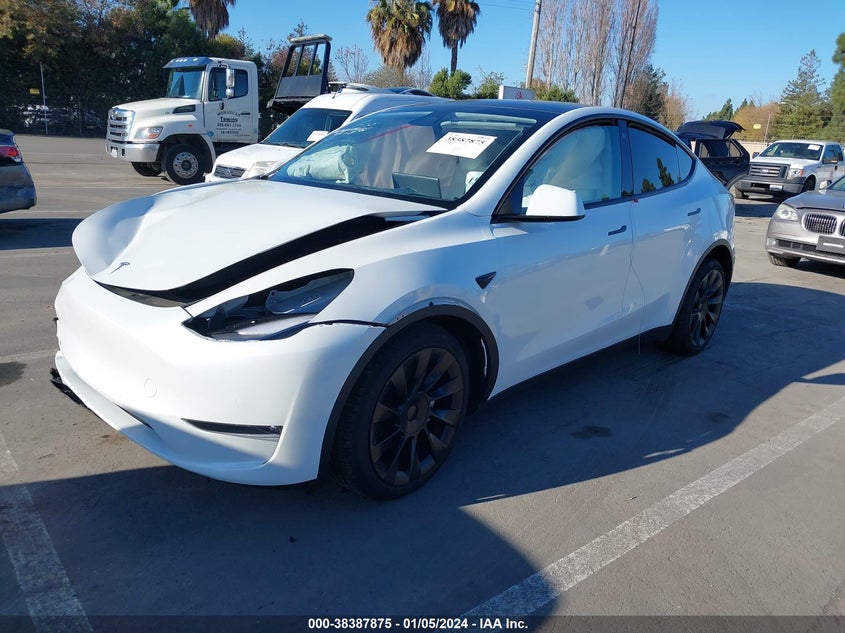 VIN 7SAYGDEE1NF554234 2022 TESLA MODEL Y