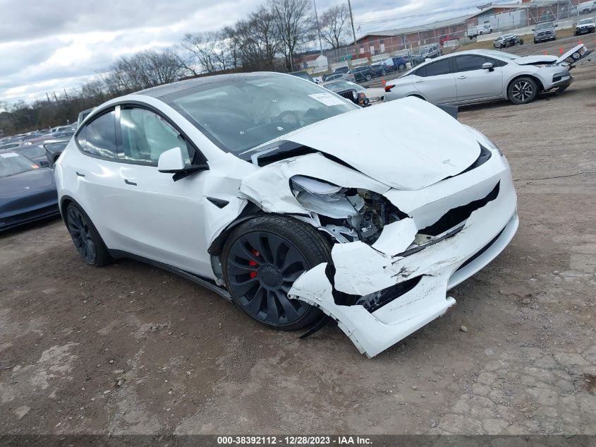 2023 TESLA MODEL Y - 7SAYGDEF5PF7765