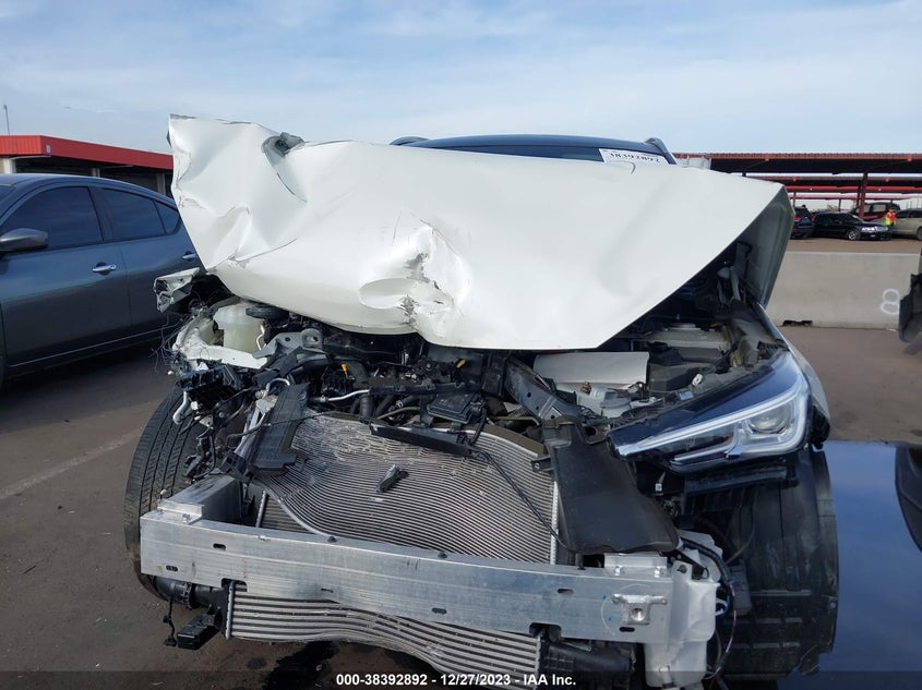 VIN 3PCAJ5M1XKF147562 2019 INFINITI QX50 LUXE