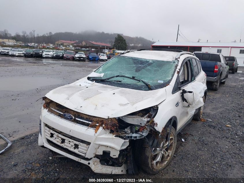 2014 FORD ESCAPE TITANIUM - 1FMCU9J95EUB52595