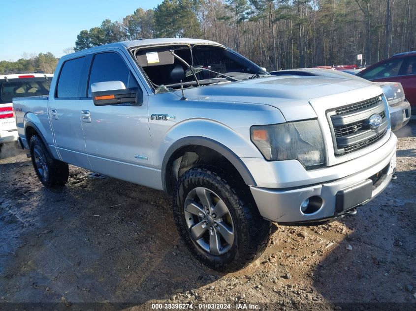 2013 FORD F-150 FX4 - 1FTFW1ET3DKD99613