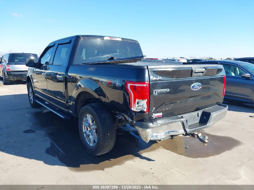 2015 FORD F-150 XLT - 1FTEW1EPXFKD56579