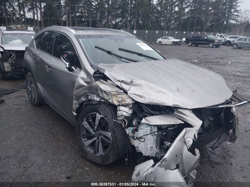 2019 LEXUS NX 300H JTJBJRBZ5K2116725
