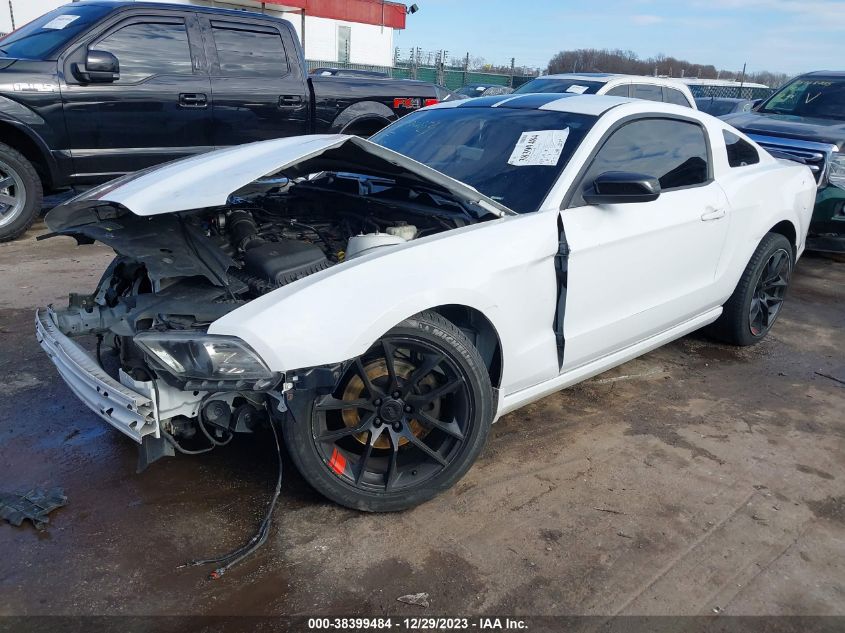 2014 FORD MUSTANG V6 - 1ZVBP8AM6E5319964