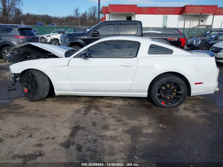 2014 FORD MUSTANG V6 - 1ZVBP8AM6E5319964