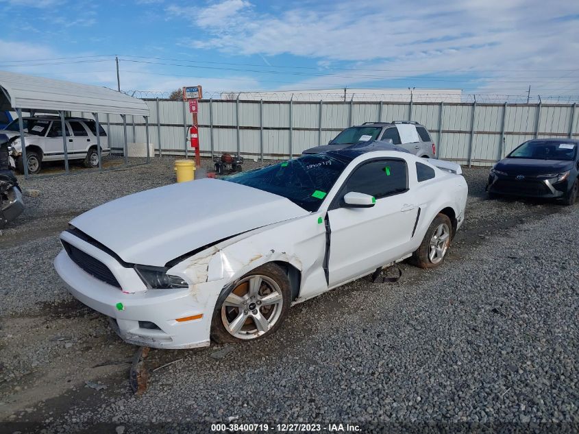 2014 FORD MUSTANG - 1ZVBP8AM4E5223735