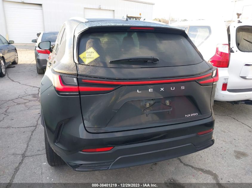 2024 LEXUS NX 250 PREMIUM - 2T2GDCAZ3RC010537