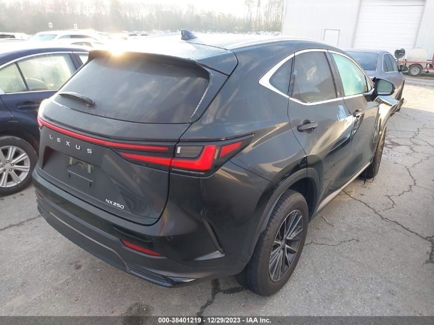 2024 LEXUS NX 250 PREMIUM - 2T2GDCAZ3RC010537