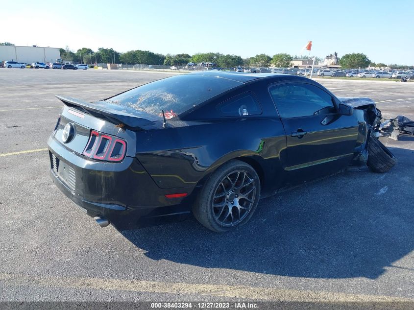 2014 FORD MUSTANG - 1ZVBP8AM4E5331207