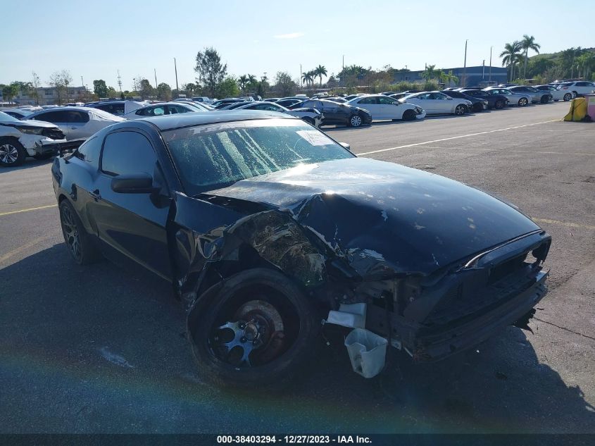 2014 FORD MUSTANG - 1ZVBP8AM4E5331207