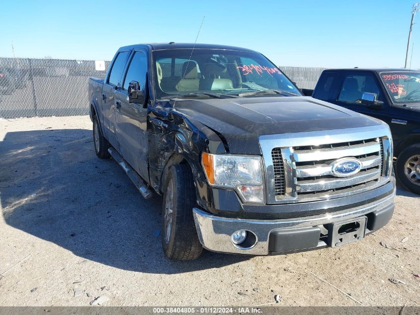 2016 FORD F-150 LIMITED - 1FTEW1EG7GFD54833