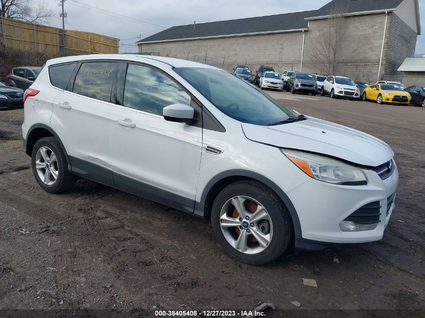 2014 FORD ESCAPE SE - 1FMCU0G93EUB81175