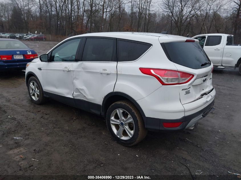 2014 FORD ESCAPE SE - 1FMCU0G91EUD38511