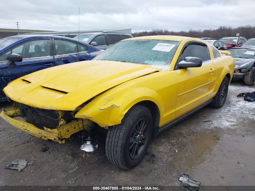 1ZVFT80N965188845 | 2006 FORD MUSTANG