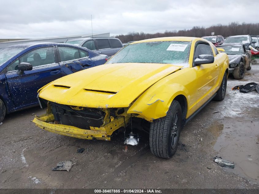 1ZVFT80N965188845 | 2006 FORD MUSTANG