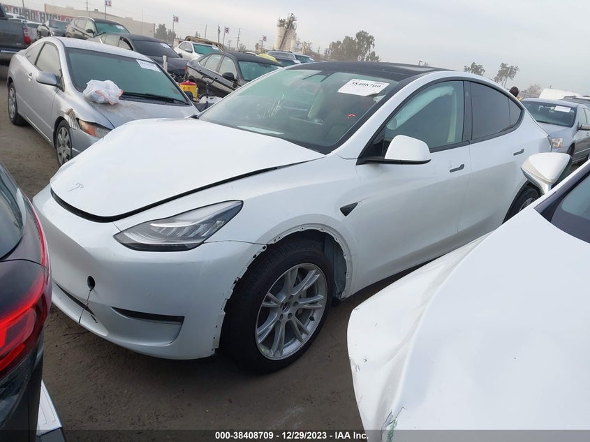 VIN 7SAYGDEE0NF461687 2022 TESLA MODEL Y