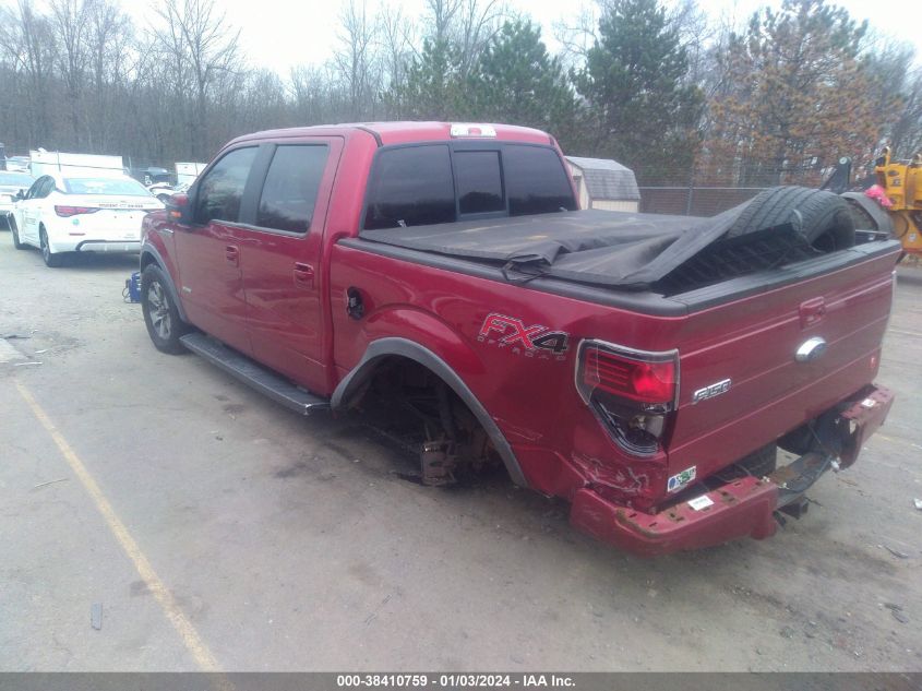 2014 FORD F-150 FX4 - 1FTFW1ETXEFB24248