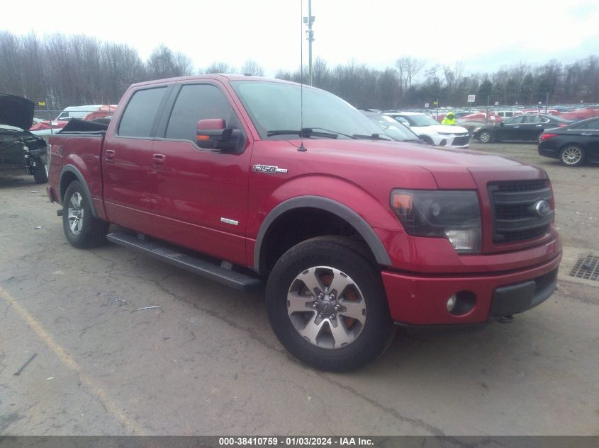 2014 FORD F-150 FX4 - 1FTFW1ETXEFB24248