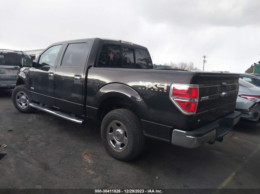 2013 FORD F-150 XLT - 1FTFW1ET6DFA64676