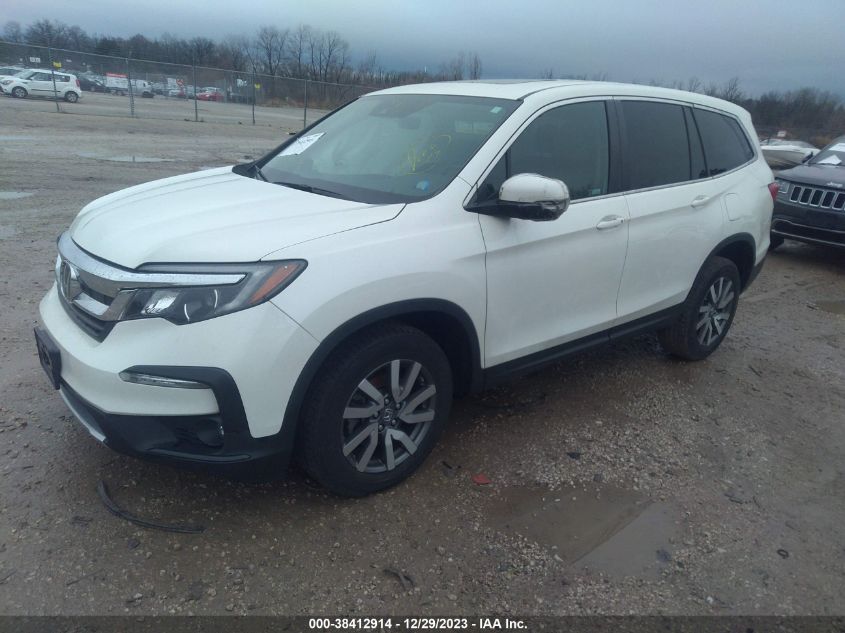 2019 HONDA PILOT EXL - 5FNYF6H51KB047336