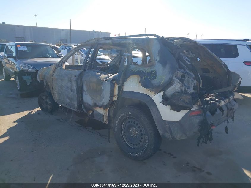 2019 JEEP CHEROKEE TRAILHAWK - 1C4PJMBXXKD255389