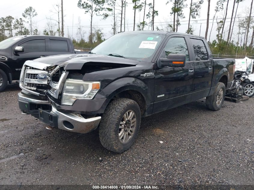 1FTFW1ETXEFC40341 | 2014 FORD F-150