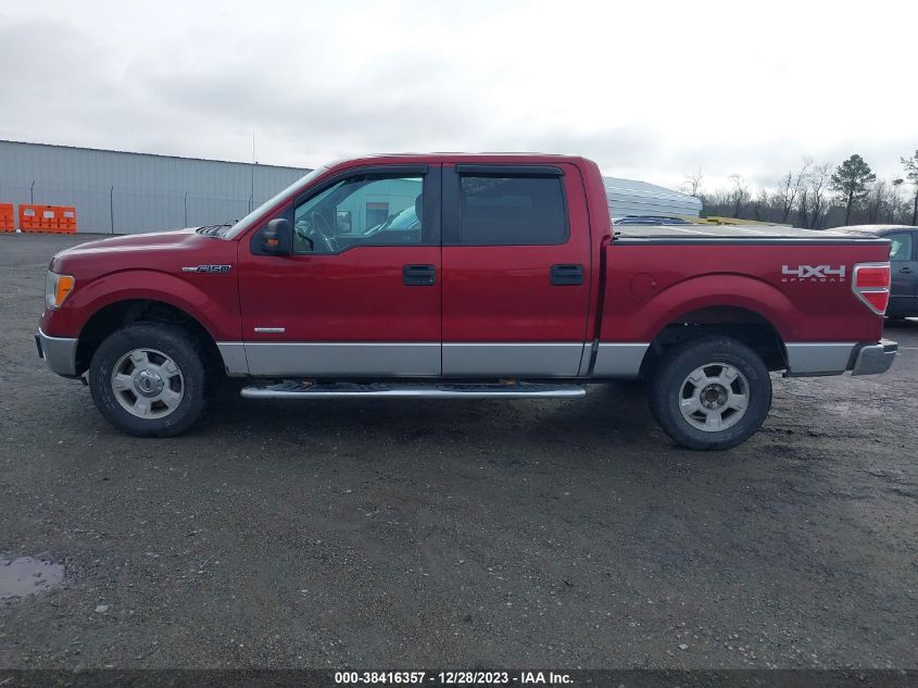 2013 FORD F-150 XLT - 1FTFW1ET8DFD16007