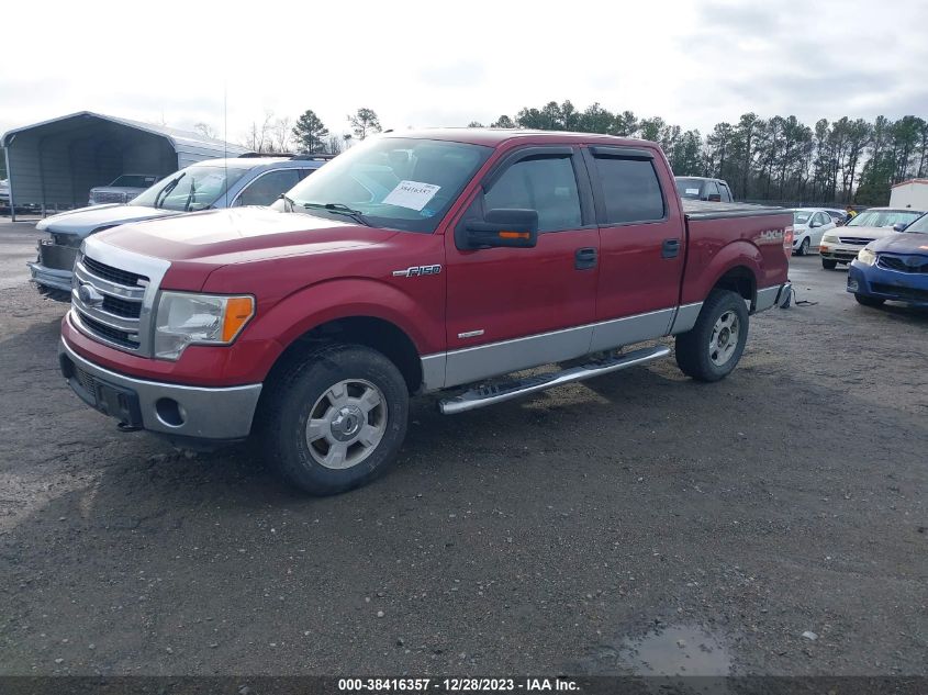 2013 FORD F-150 XLT - 1FTFW1ET8DFD16007