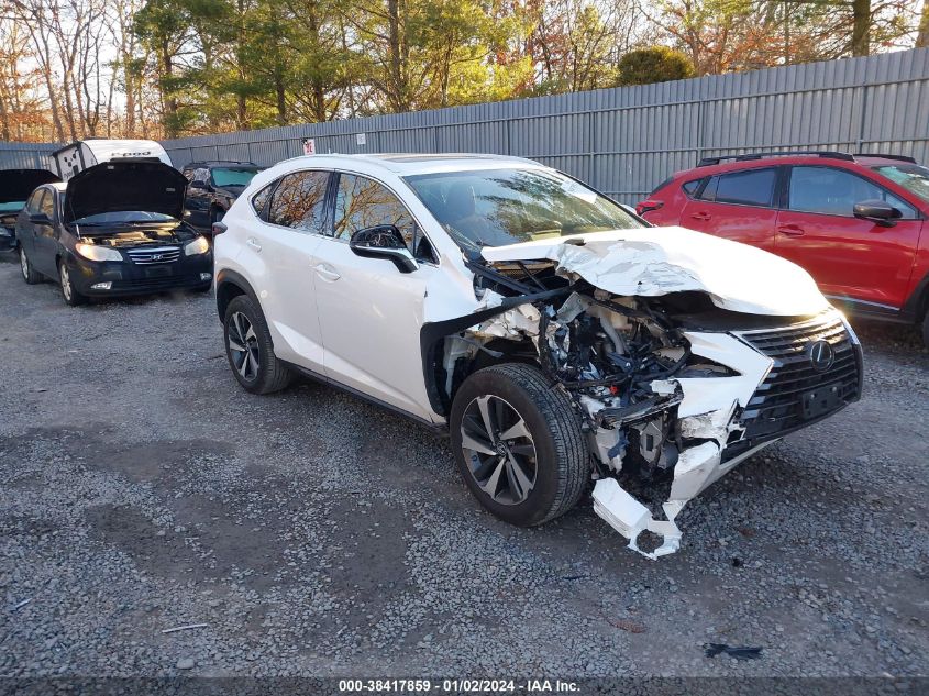 2021 LEXUS NX 300 - JTJGARDZ7M5026335