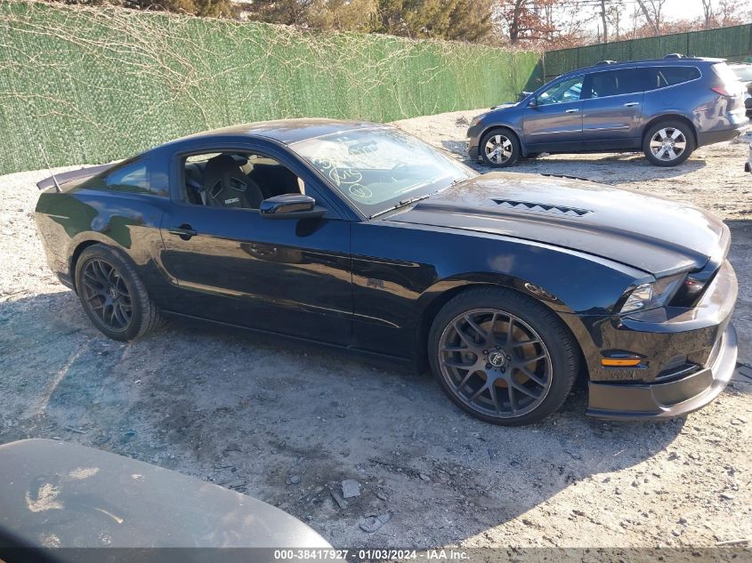 2013 FORD MUSTANG GT - 1ZVBP8CF1D5258021