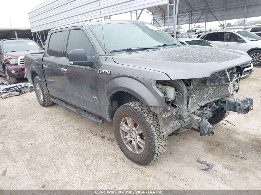 2015 FORD F-150 XLT - 1FTEW1CP4FKD26674