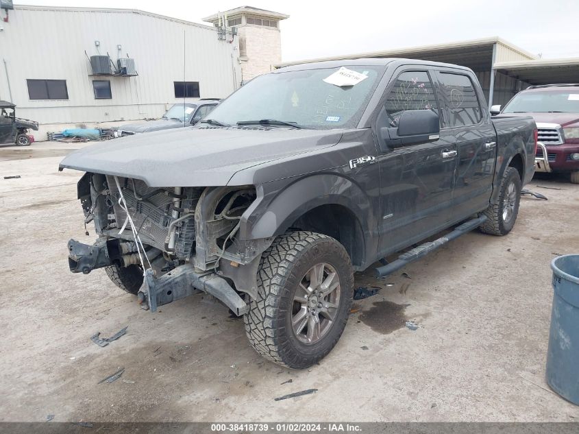 2015 FORD F-150 XLT - 1FTEW1CP4FKD26674